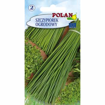 Chives Polan - early variety ideal for garden cultivation 2