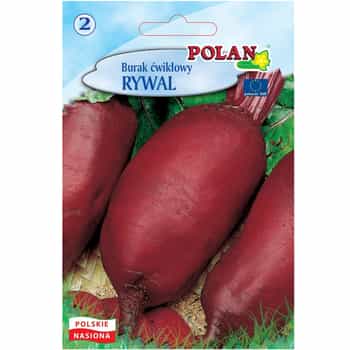 Beetroot Rywal Pol - early variety ideal for processing 2