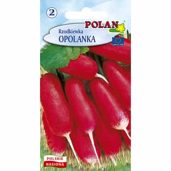 Radish Opolanka Polan - early variety ideal for salads 2