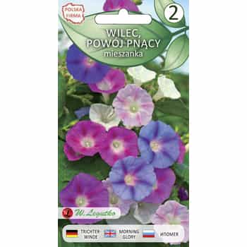 Morning Glory Climbing - Seeds for planting arbors and balconies, perfect for summer 2