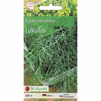 Dill Lukullus - early, aromatic addition to your kitchen 2