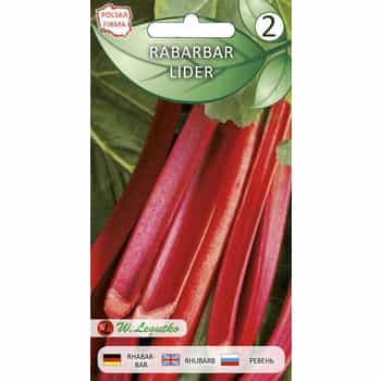 Rhubarb Lider Seeds - perfect for growing in your garden 2