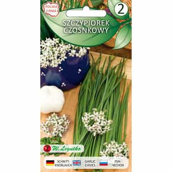 Garlic chives seeds - perennial plant for your garden 2