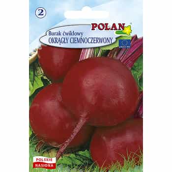 Beetroot Round Dark Red - ideal addition to dishes 2