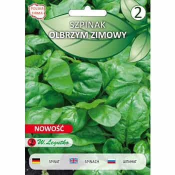 Giant Spinach Seeds - ideal for growing in the garden 2