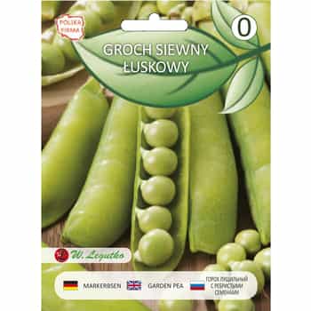 Pea - Seeds of an early variety for your garden 2
