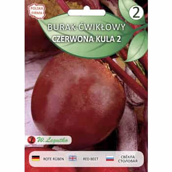 Beetroot Kula Seeds - ideal for growing in the garden 2