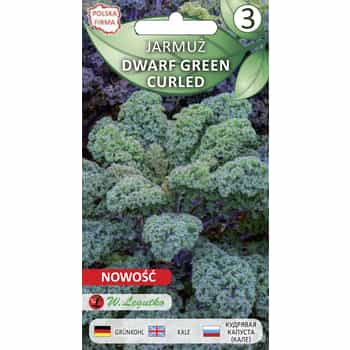 Kale Dwarf Green Seeds - ideal for growing in a small garden 2
