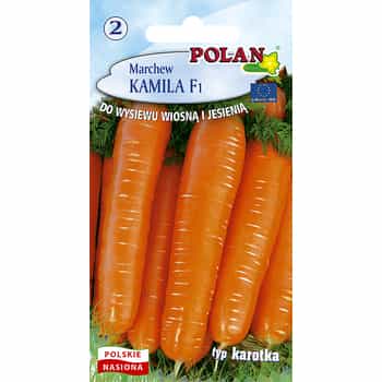 Carrot Kamila Polan - early, high-yielding, ideal for salads 2