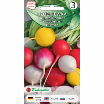 Radish Mix - Colorful and tasty composition 2