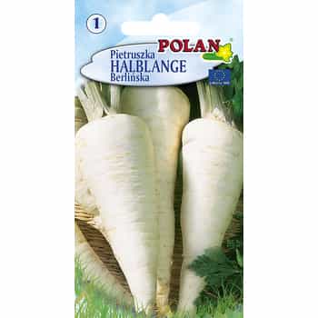 Parsley Root Halblang - ideal for soups and storage 2