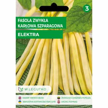 Dwarf bean asparagus bean ELE - early variety for your garden 2