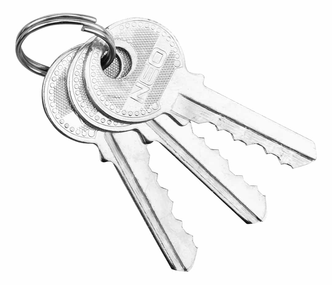 NEO TOOLS Cast iron padlock 50 mm - 3 keys included 5