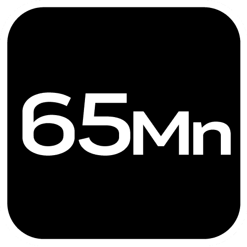 NEO TOOLS Planer Blades for Wood - Replacement, 2 pieces 10