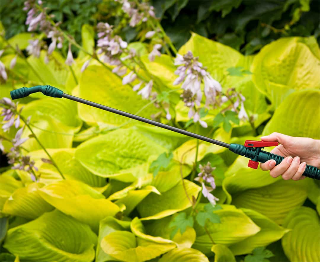 VERTO Pressure sprayer 3 L - ideal for your garden 5