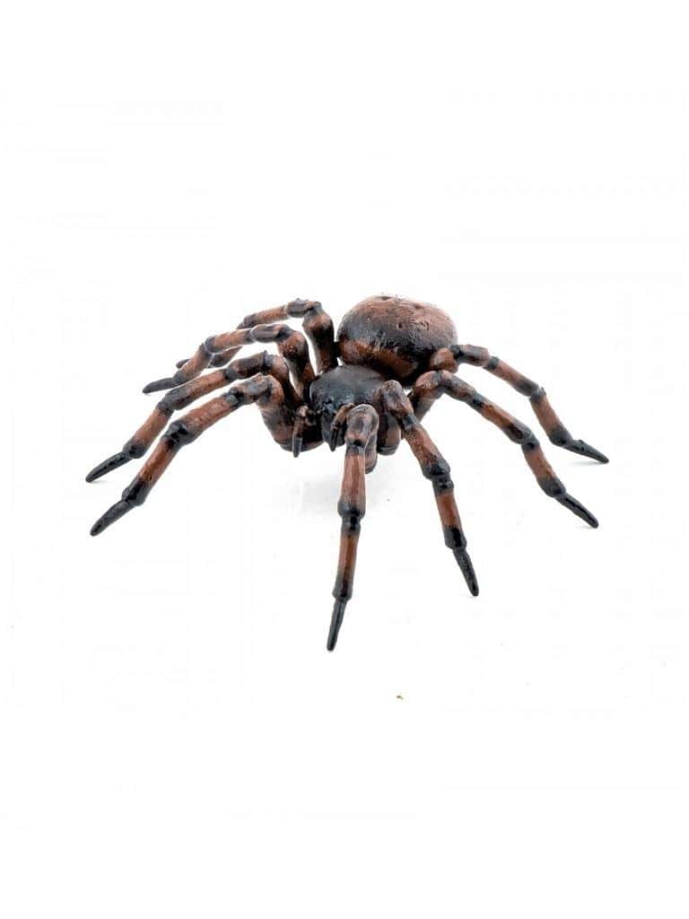 Spider collectible figurine PAPO - realistic spider for play