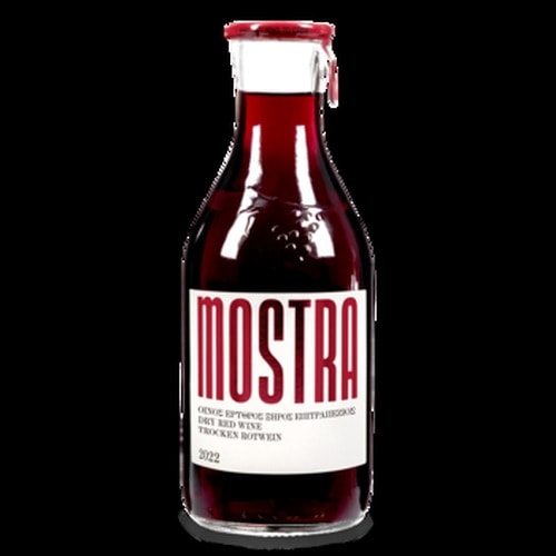 W.MOSTRA RED - Italian Cherry Mostarda 500 ml