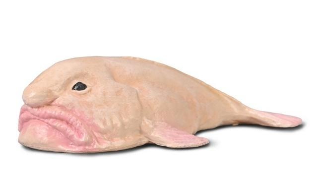 Collecta Blobfish Figurine - deep sea fish collectible