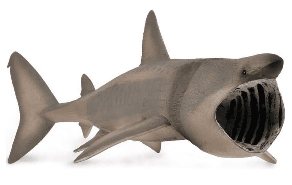 Collecta Dilophosaurus Figure - Educational Model for Collectors