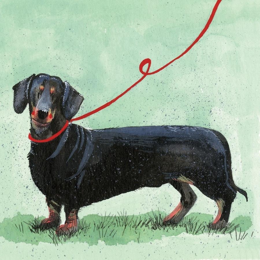 Dachshund greeting card - perfect for any occasion