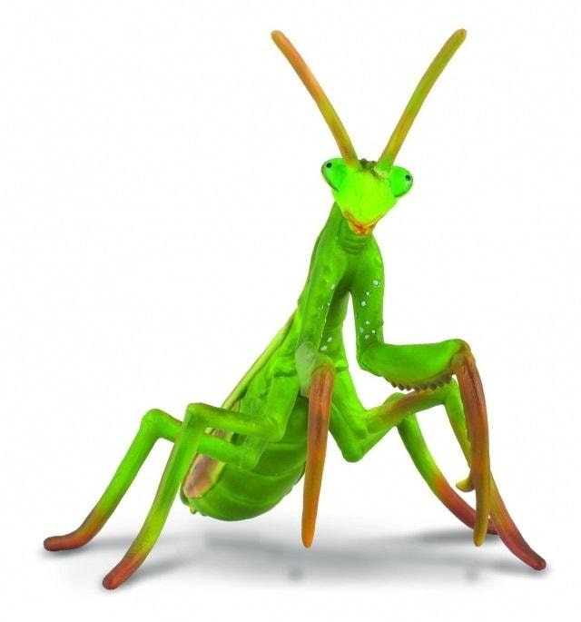 Collecta Praying Mantis Figure - Realistic insect replica for collectors