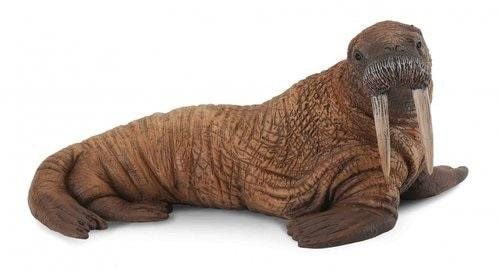 Collecta Walrus figurine marine mammal 197x116 mm - realistic model