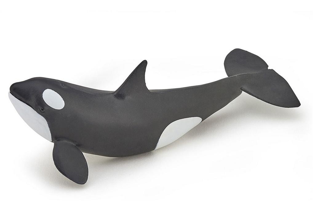 Papo Common Dolphin Figurine - perfect for collections