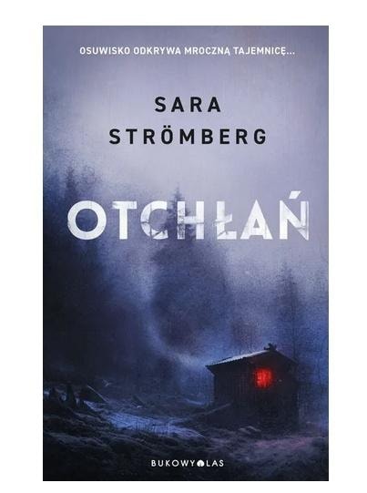 Bukowy Las Otchłań - Crime novel full of mysteries