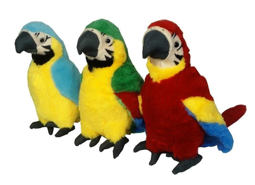 SWEDE Reproduction Parrot MIX - canvas print 153x310 mm - ideal for living room