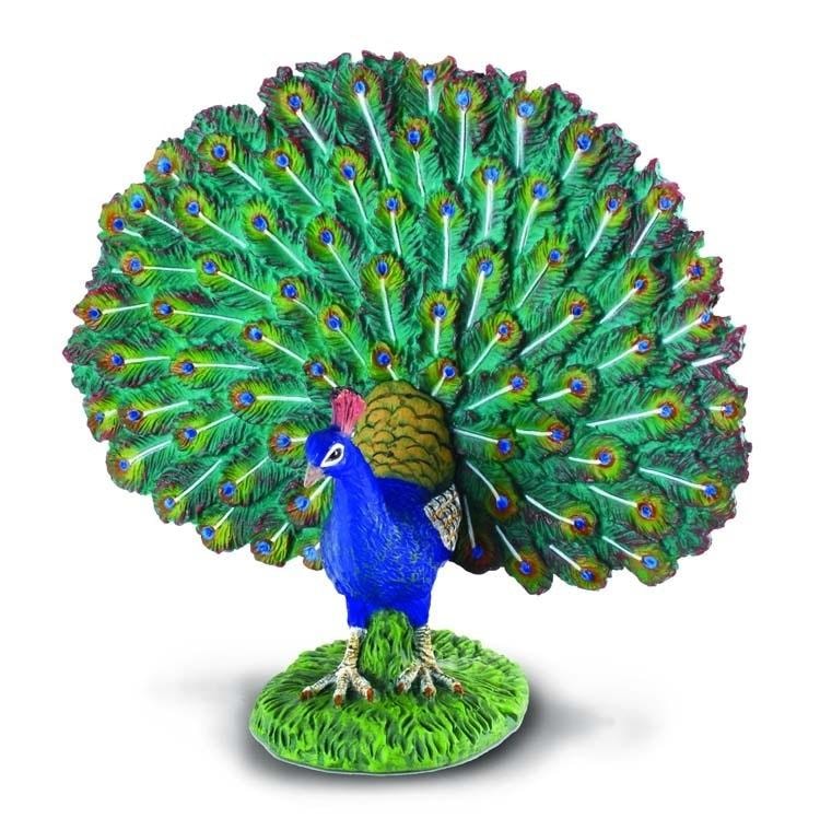 Collecta Peacock Figure - Ideal for animal collection