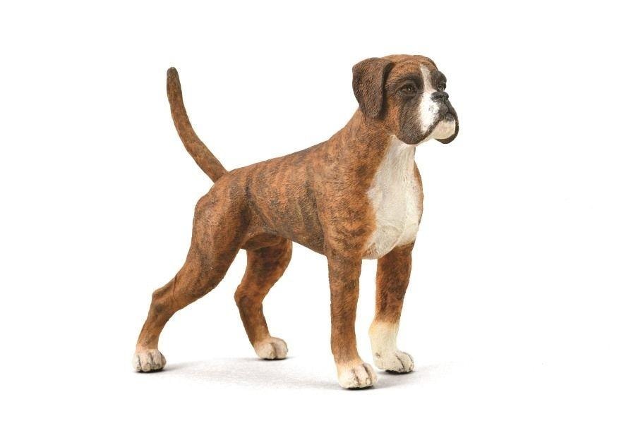 Collecta Boxer Dog Figure - Collectible Realism for Animal Lovers