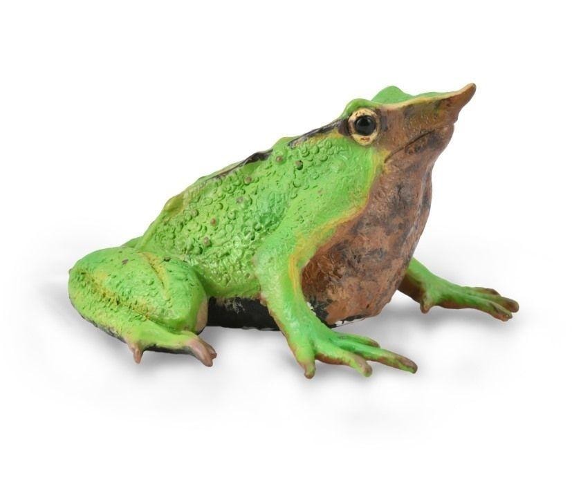 Collecta Frog Figure - Realistic representation of shape and color