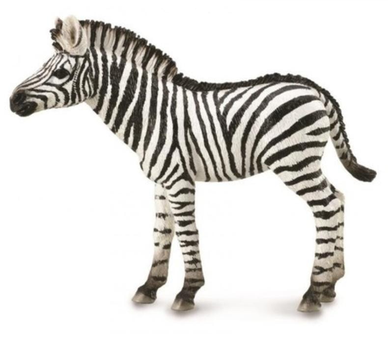 Collecta Zebra Foal - Collectible figure for animal lovers