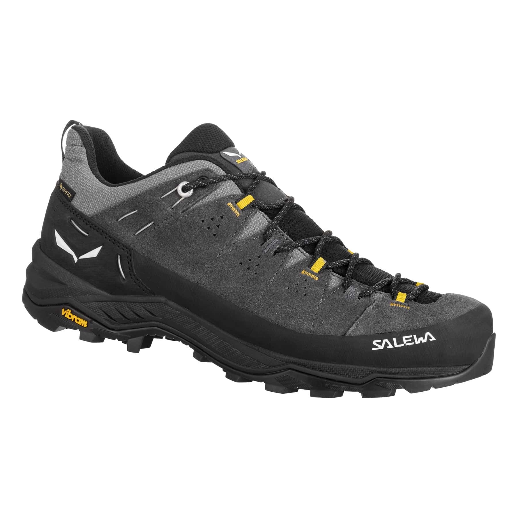 Salewa Alp Trainer 2 GTX Onyx Black - Trekking Shoes size UK 9 (43)