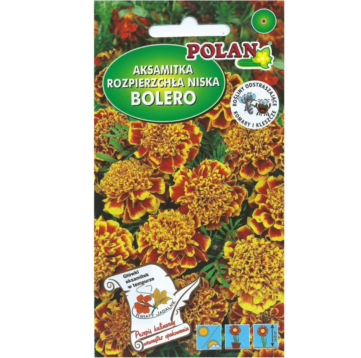 PlantiCo French Marigold Bolero - annual flower seeds