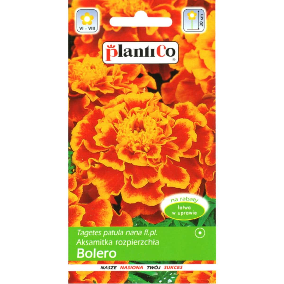 PlantiCo Aksamitka Rozpierzchła Bolero - flower seeds that repel pests