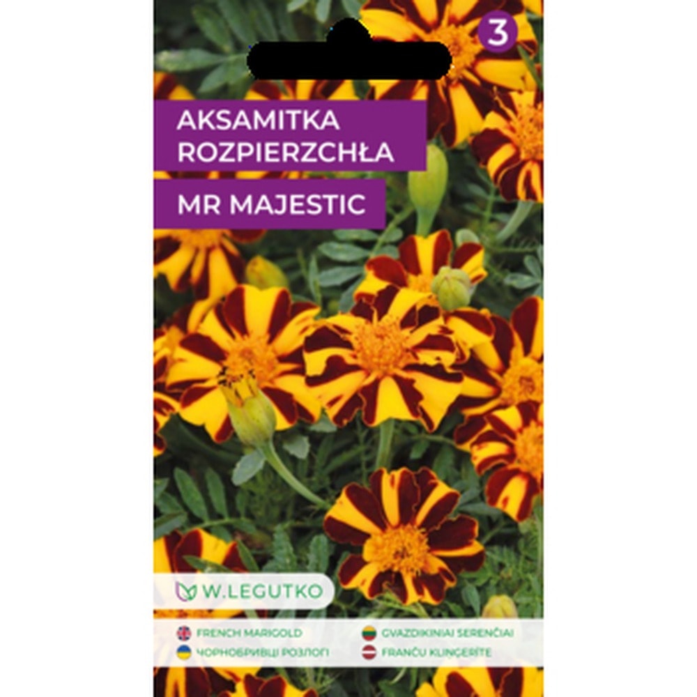 Spreading marigold - ornamental annual plant for your garden