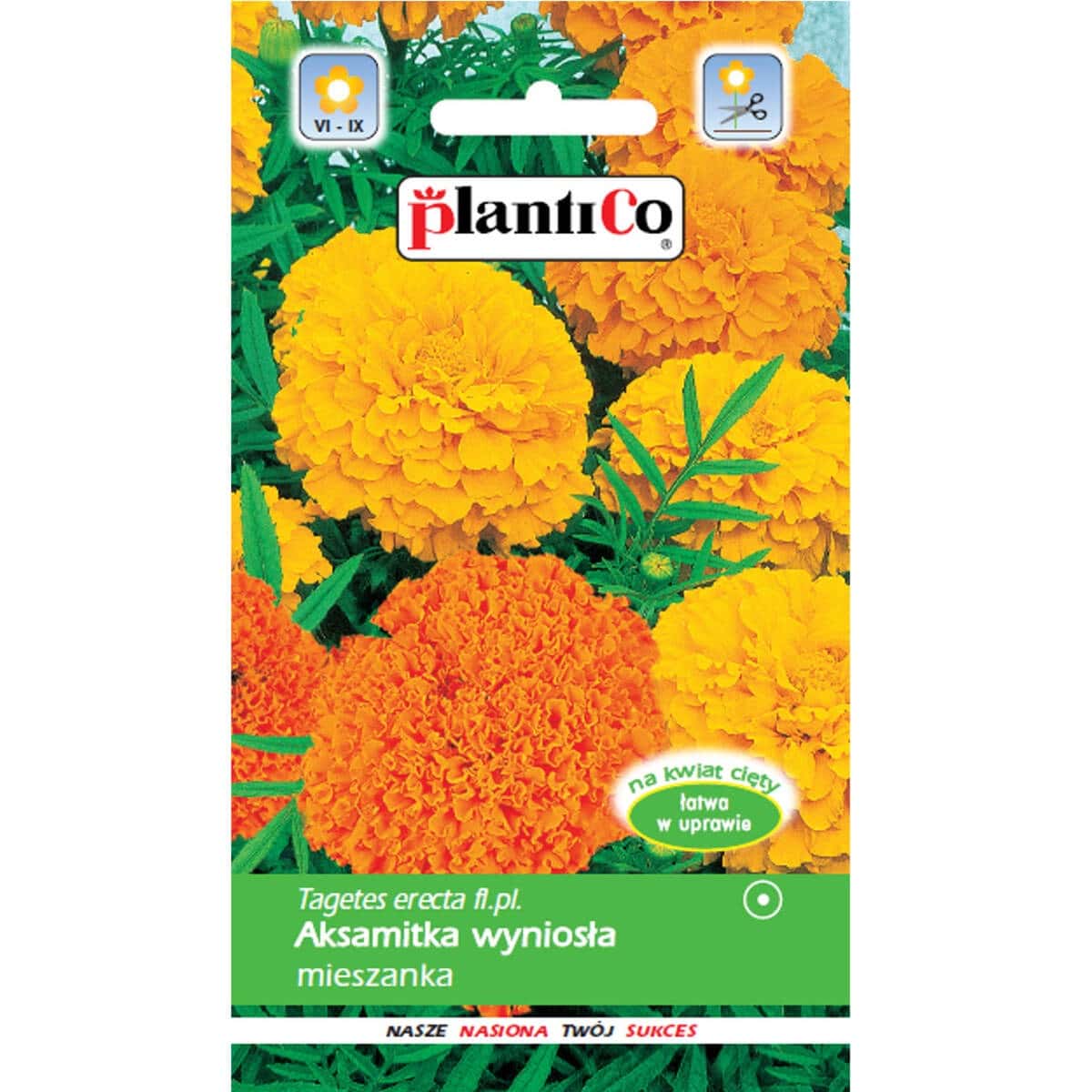 PlantiCo Tall Marigold - Color mix for your garden