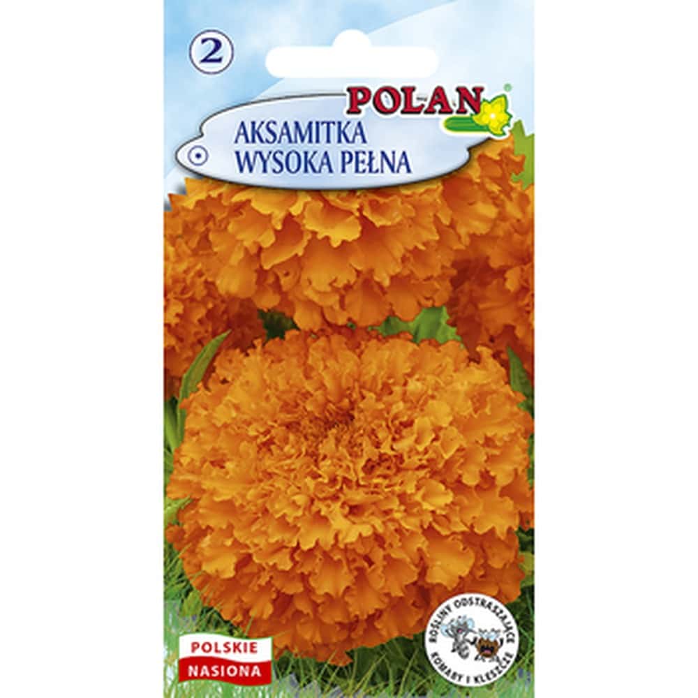 Tall Double Marigold Polan - flowers for the garden, ideal for flower beds