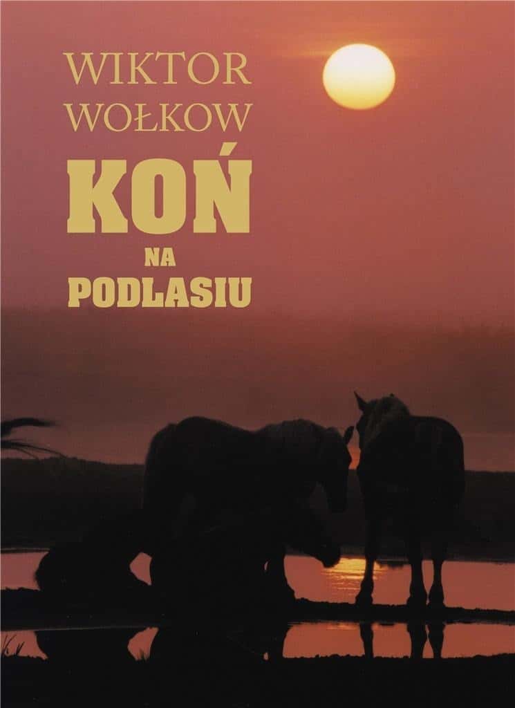 Wiktor Wołkow - Horse in Podlasie - Photo Album