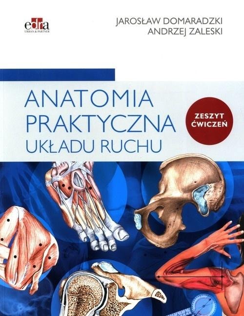 Practical Anatomy of the Musculoskeletal System - Exercises for Physiotherapists - discover the secrets of anatomy!