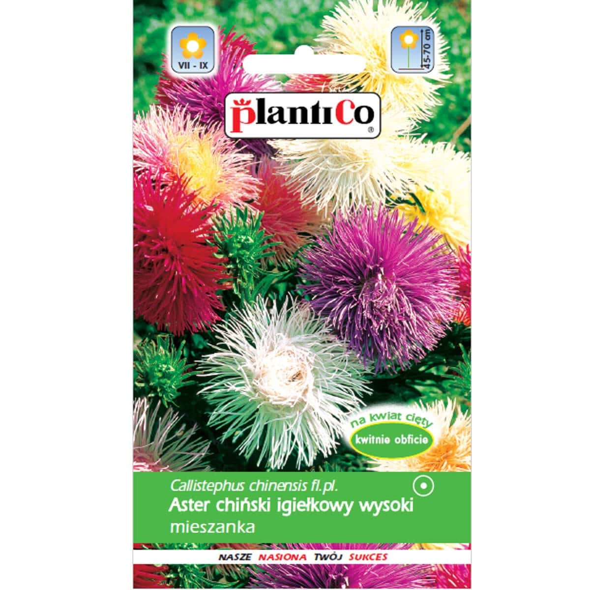 PlantiCo Chinese Aster Needle - Seed mix for your garden