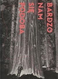 Collective work - We like it very much - an introduction to contemporary art