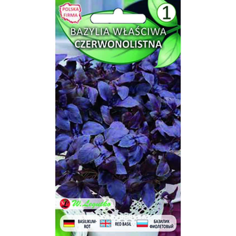 Basil True Red-leaved - aromatic plant for your garden