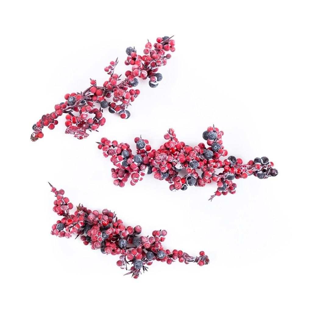 Bleached decorative branches with red fruits - ideal for arrangements