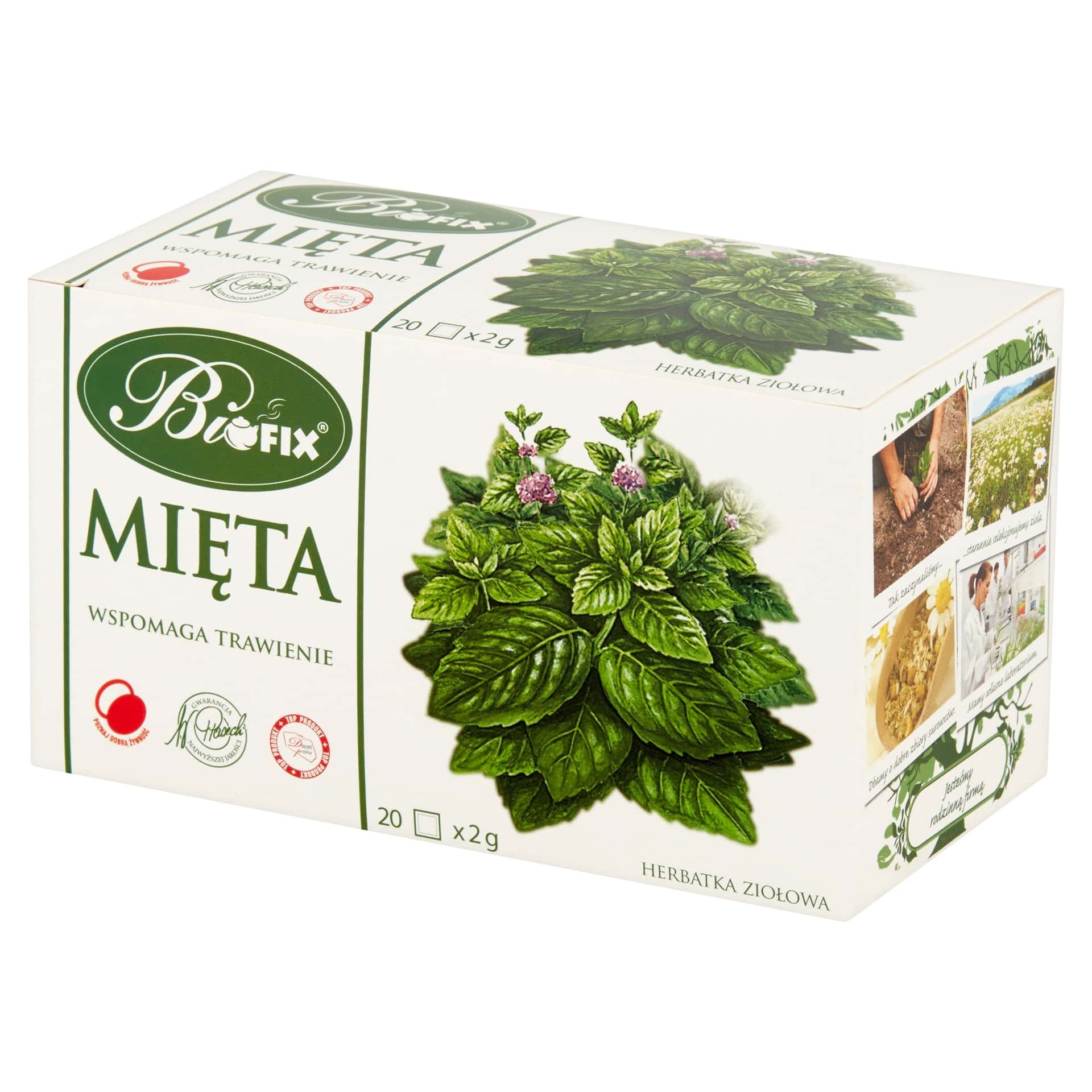 Bifix Herbal Mint Tea - 20 Express Bags for better digestion