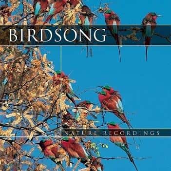 Bird Song CD - Various Artists - relaxing bird music