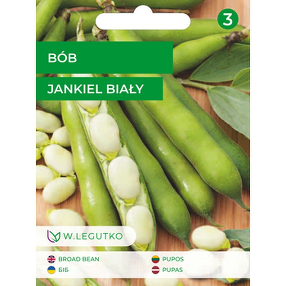 Legutko Broad Bean Jankiel White - medium early variety for your garden