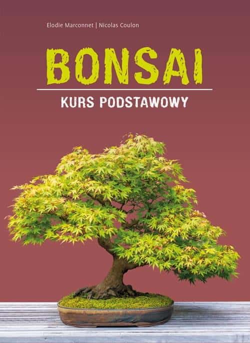 Bonsai. Basic course - guide for beginners. Discover the beauty of miniature trees!
