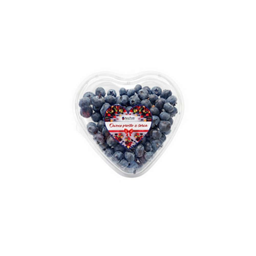 Blueberries from Chile - Juicy fruits 250 g